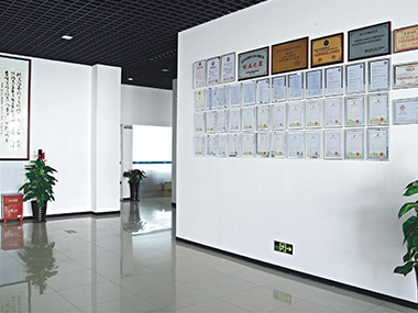 辦公環(huán)境是企業(yè)形象的黃金名片，為了營(yíng)造優(yōu)美的辦公環(huán)境，提升企業(yè)整體形象，公司下大力氣對(duì)辦公環(huán)境進(jìn)行整體包裝。嶄新的辦公環(huán)境增強(qiáng)了企業(yè)文化的穿透力和震撼力，也激勵(lì)了員工的工作熱情，樹(shù)立了安亞電氣良好的品牌形象，更表現(xiàn)了安亞人做大事、創(chuàng)大業(yè)的信心和魄力。